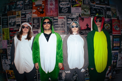 Iguanas on the floor - press shot