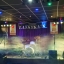 lankykats stage